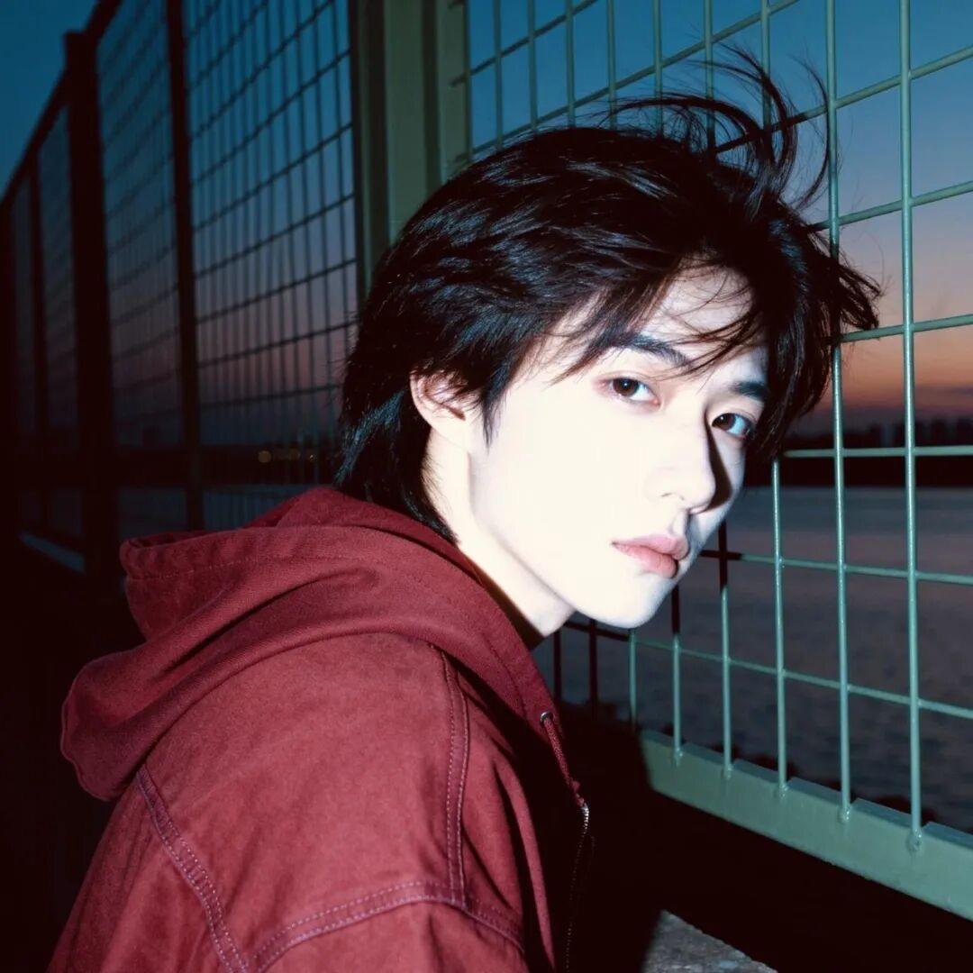 奶油味的林某丶