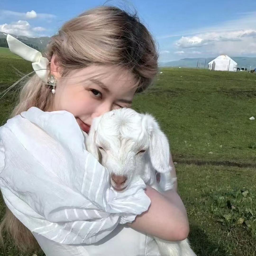 小羊推荐