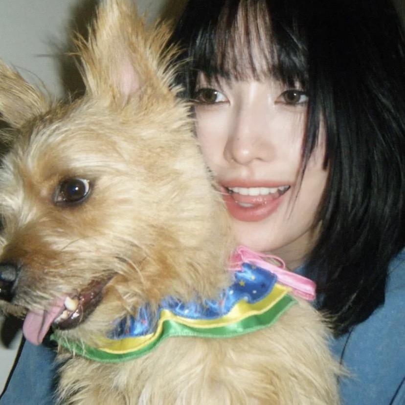 你不要黏着我📷