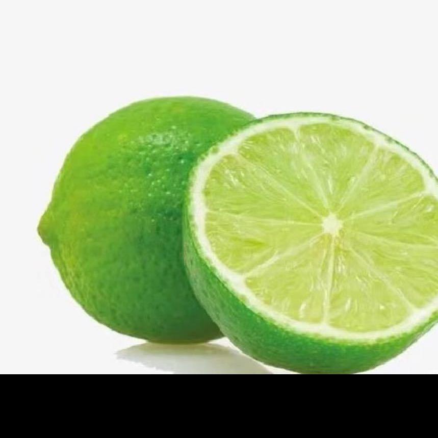 湛江香水柠檬基地1号