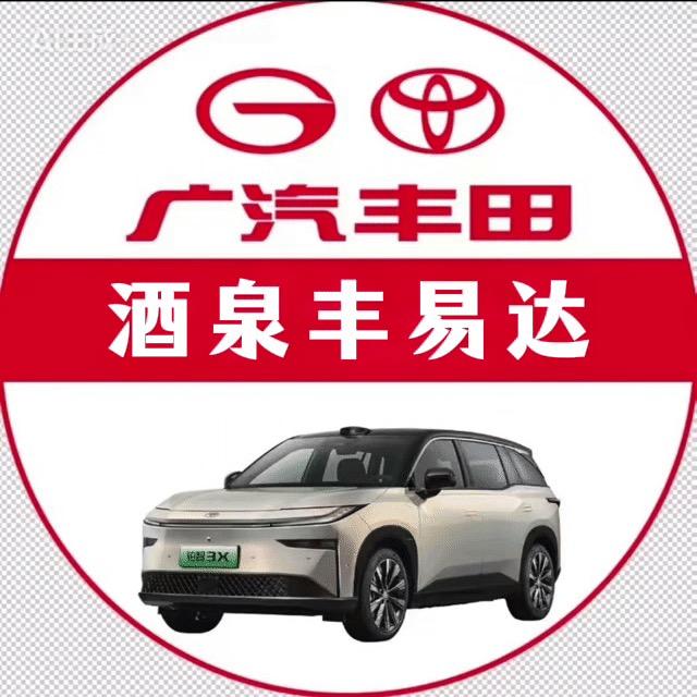 酒泉丰易达新能源铂智3X体验中心