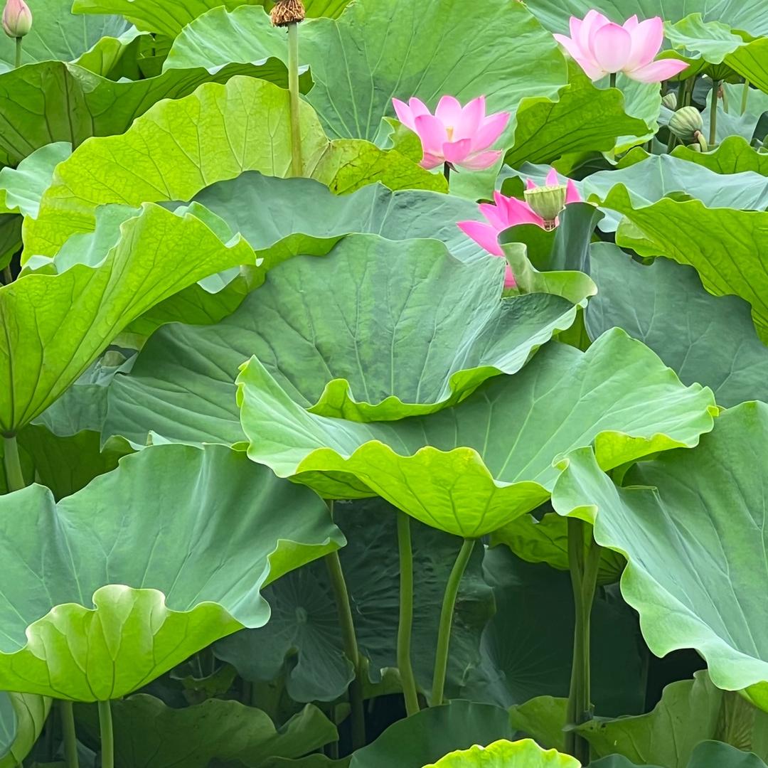 快乐时光
