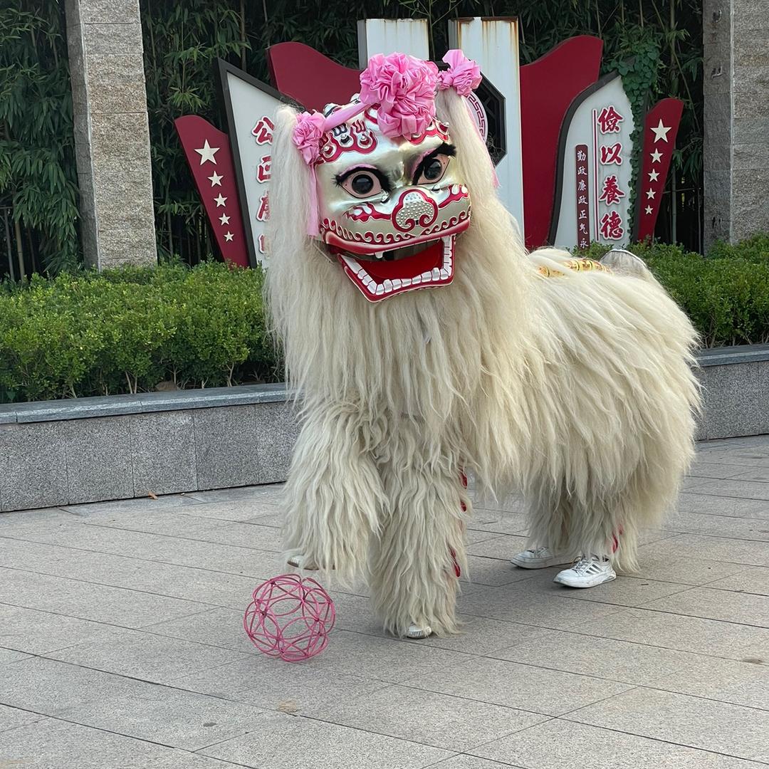 梁山孙庄舞狮团长（孙长辉）招热爱舞狮学员