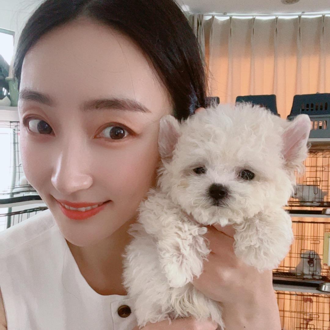 曲阜久宠犬业助理号