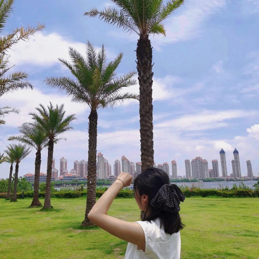 夏夏真食货