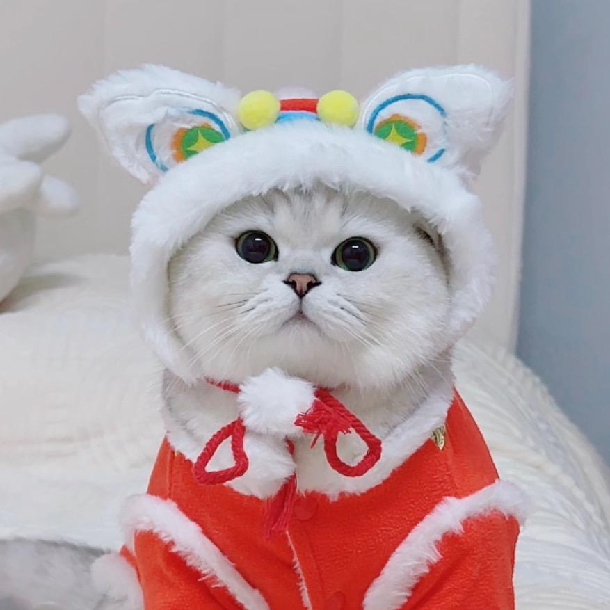 四月是只猫