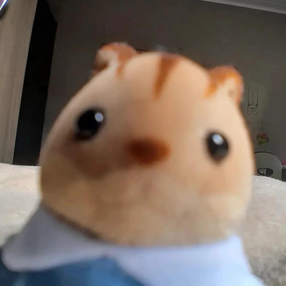 九点一定睡