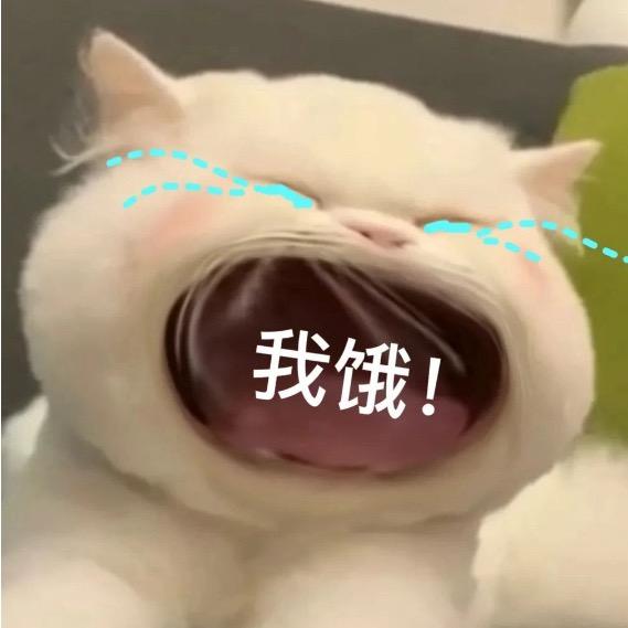 羊羊饿了