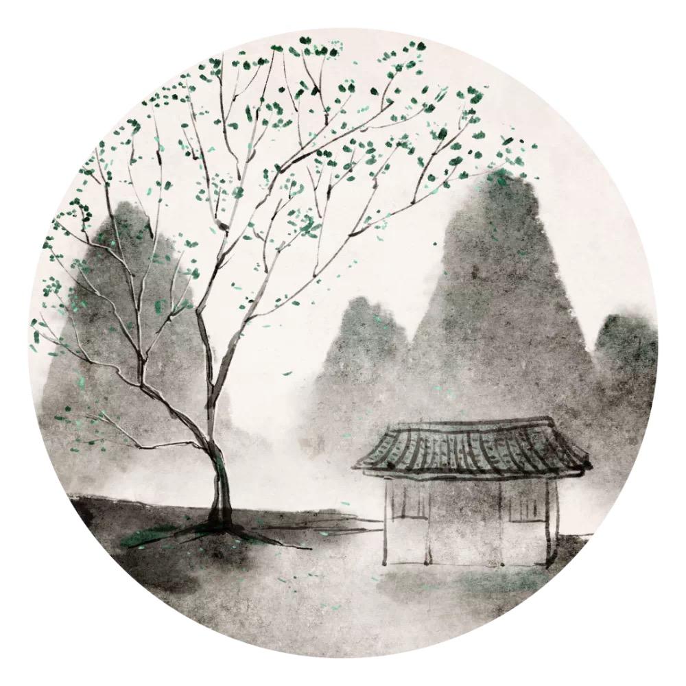 ☘️妙信（暖）🌱