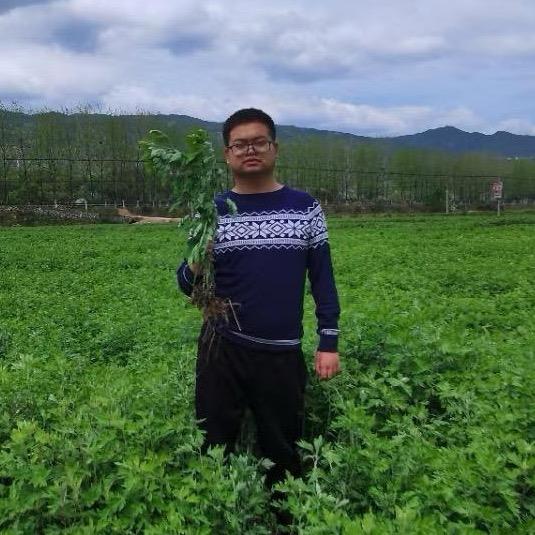 专业艾灸师王老师（6）