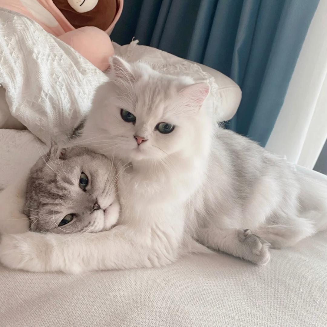 本人更可爱@抖音