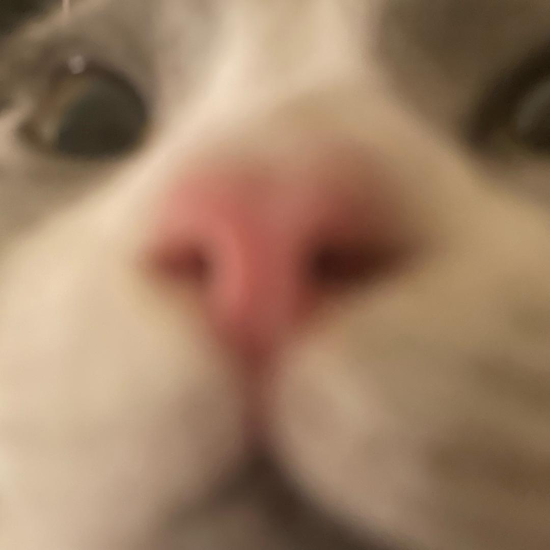 18岁性感母蟑螂