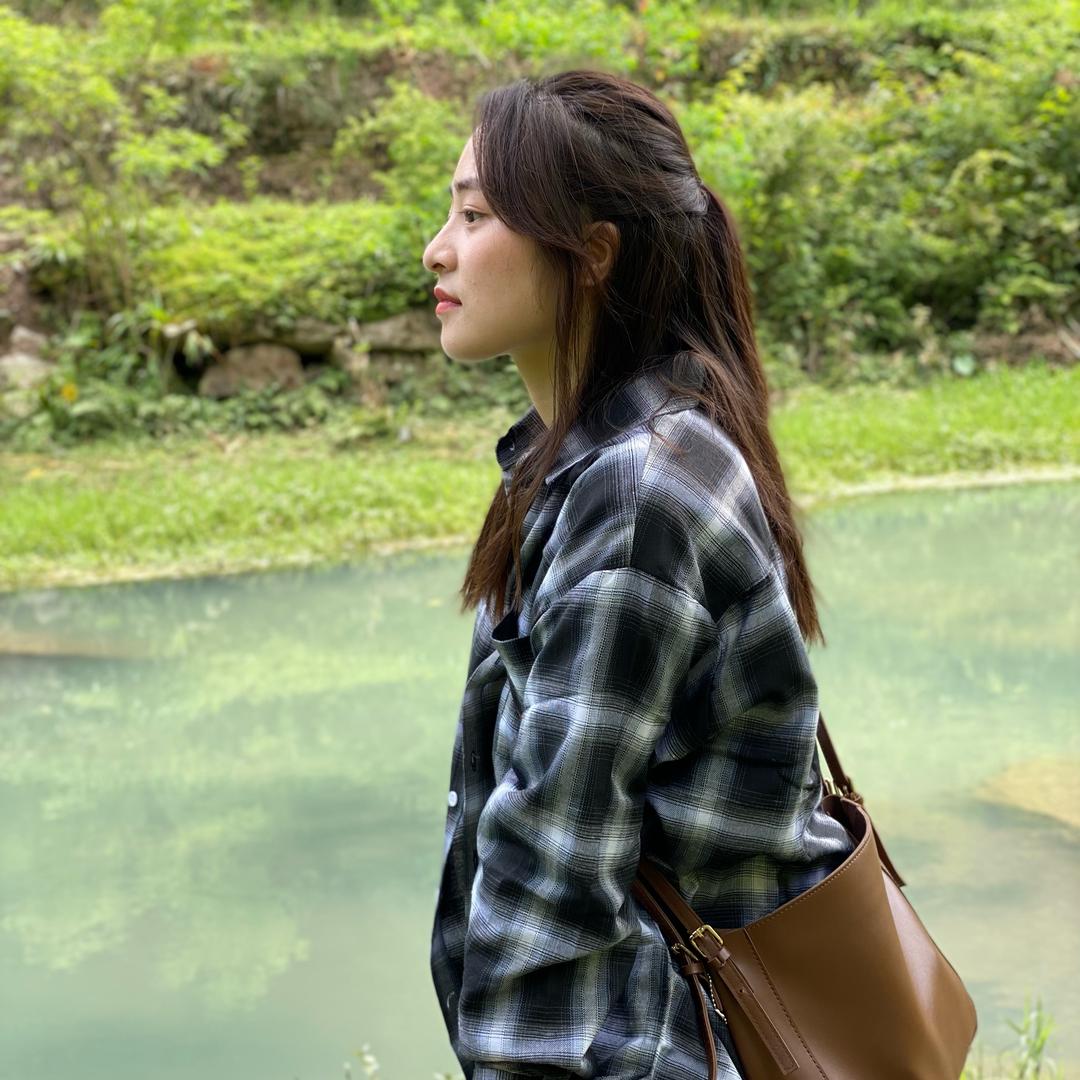 乡村燕子