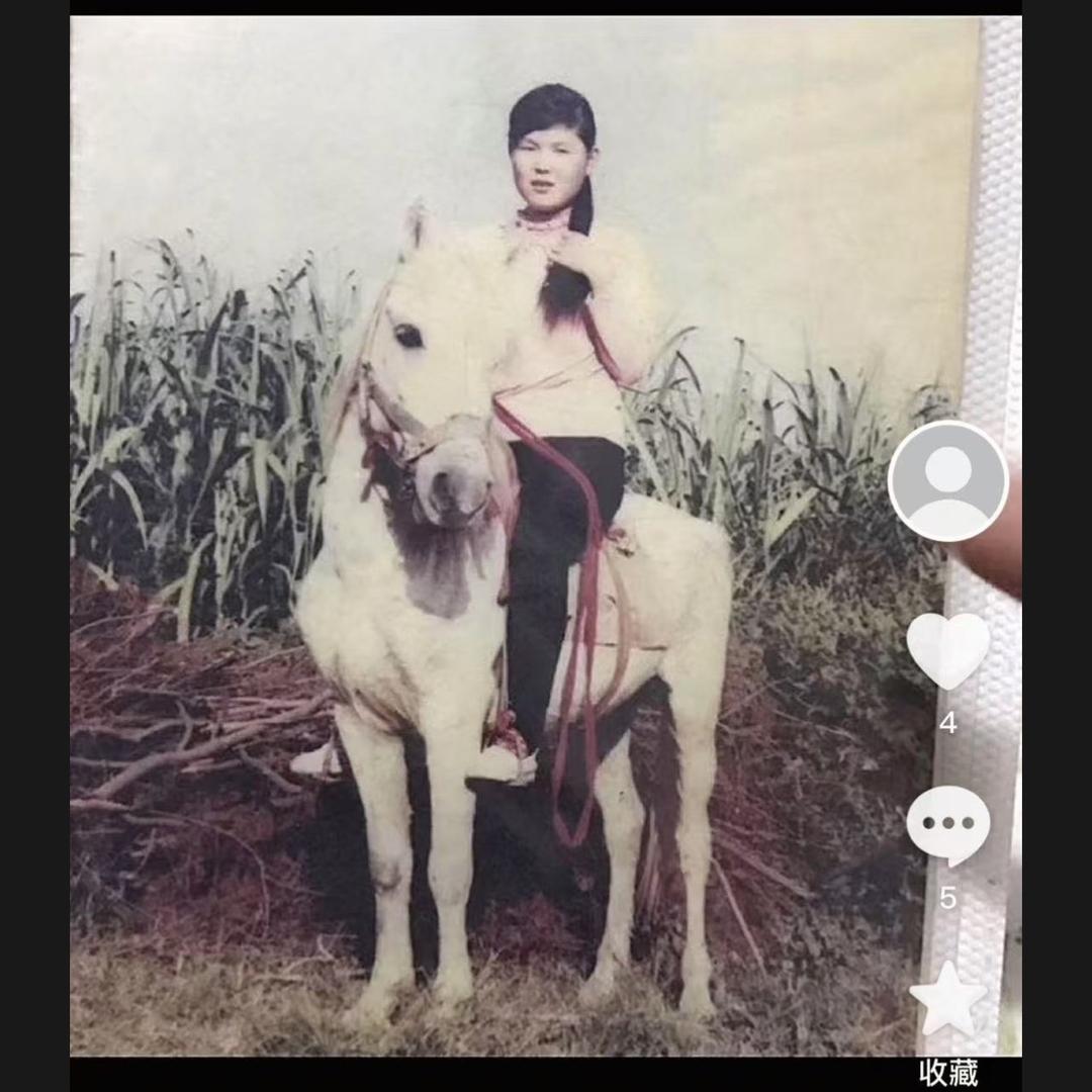 看热闹