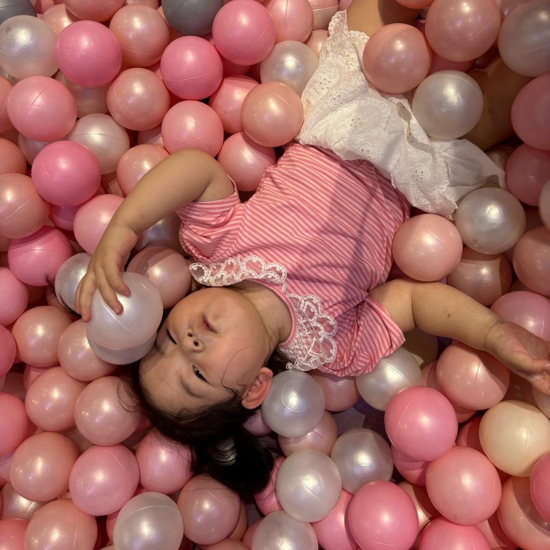 一只会招财的猫🐱