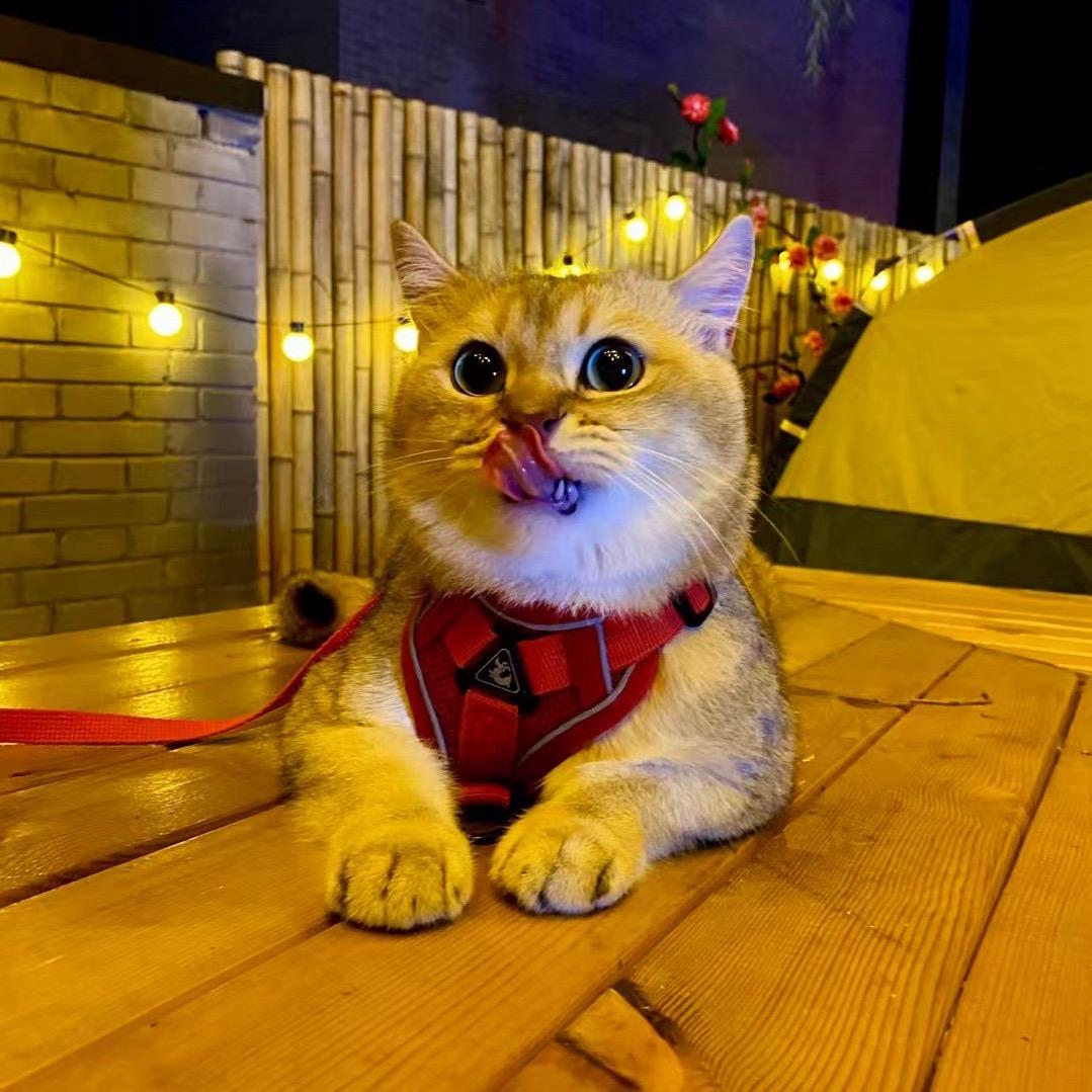 文