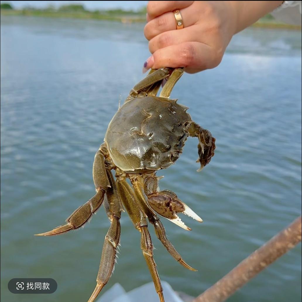 华优鲜源头基地