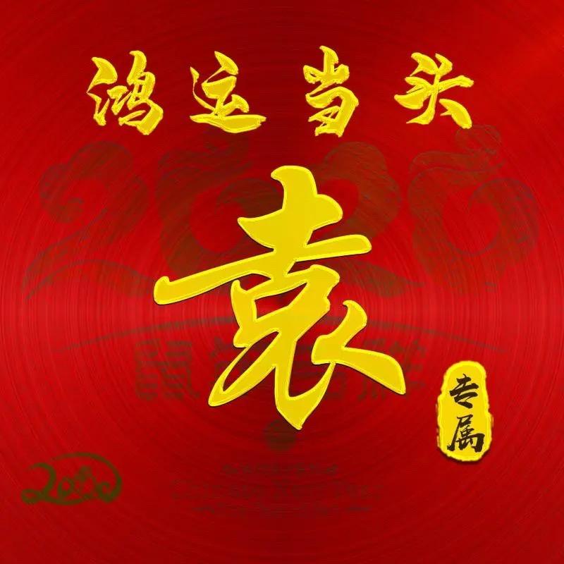 中华袁波