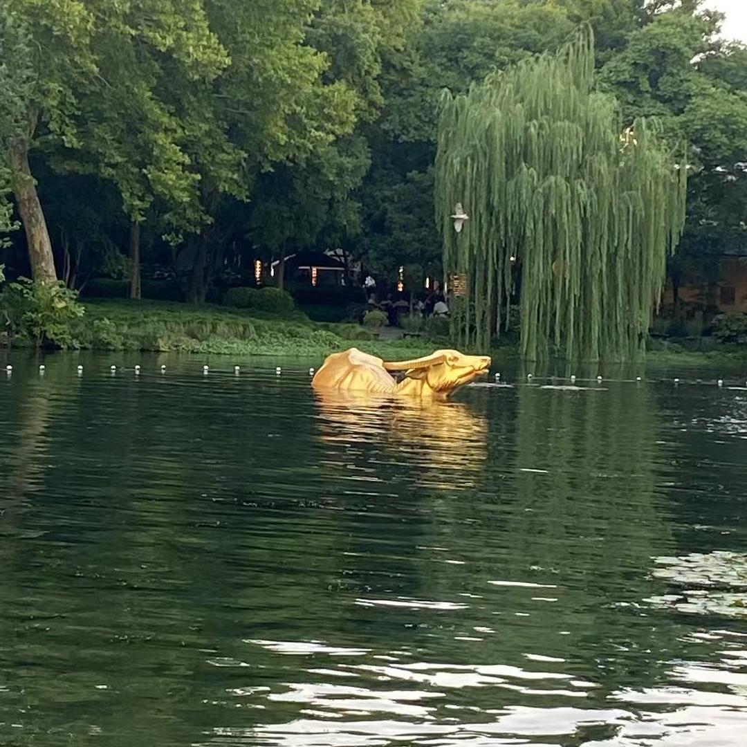 阳阳1号供应链