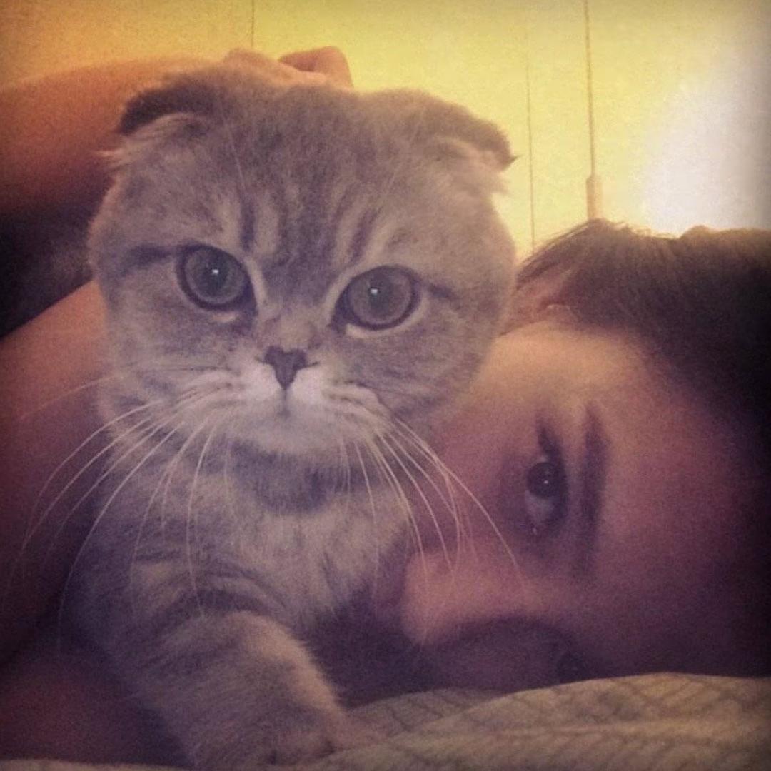 可是我是萌梅子