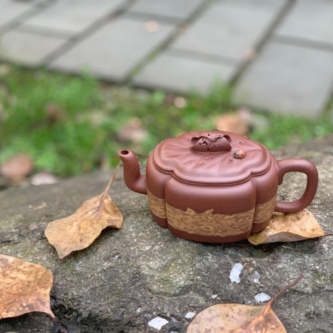 老王玩壶