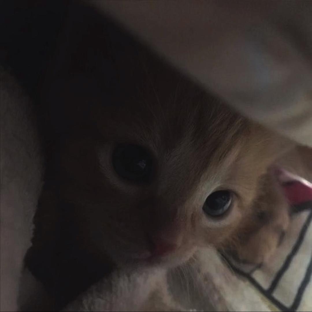 熬不完的夜