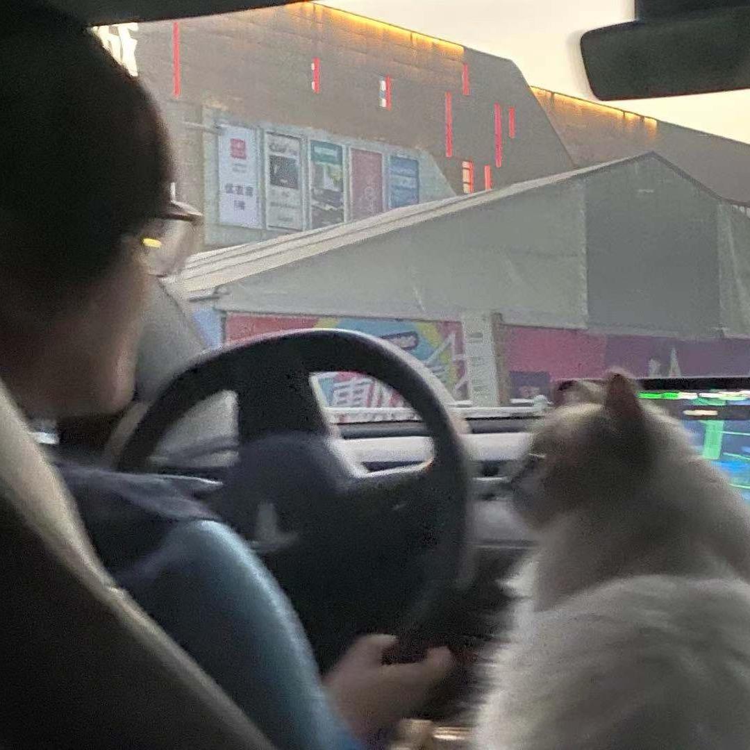 芳