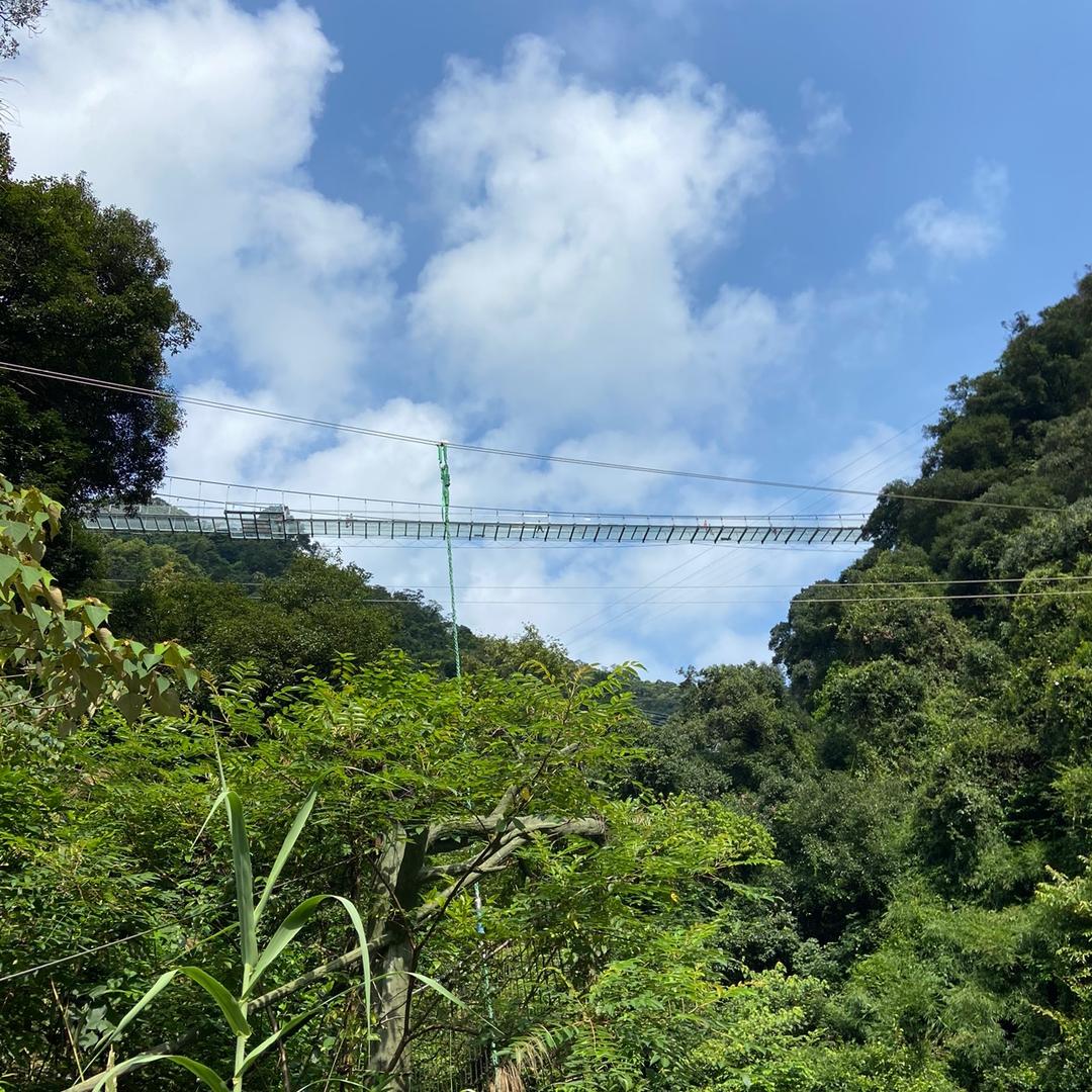 丽丽