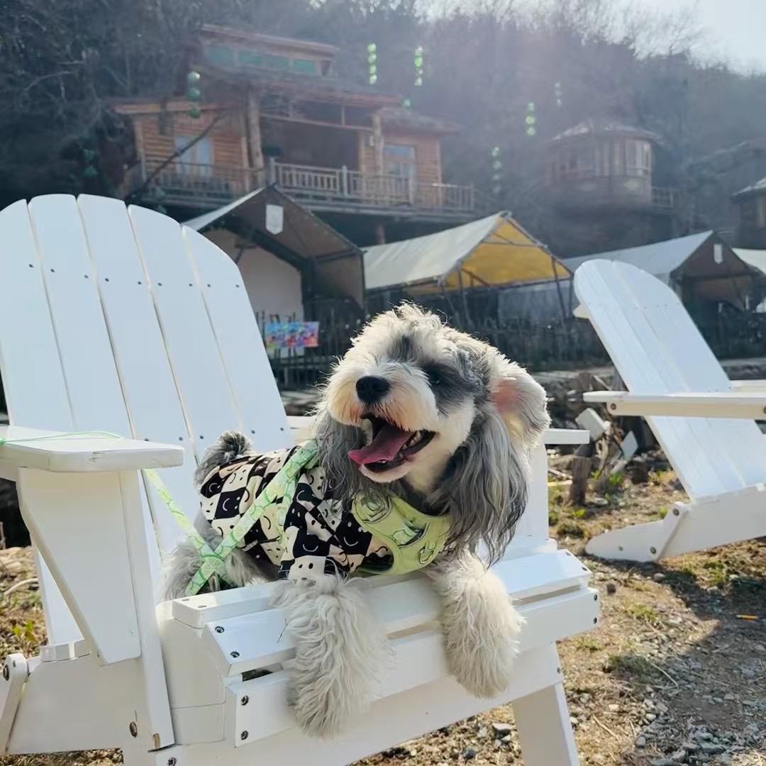 伯爵爱击掌🖐🏻