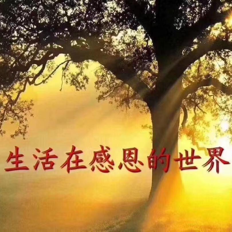 许多多
