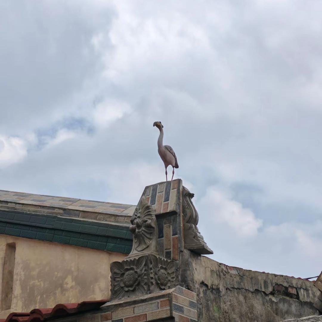 歌小晨