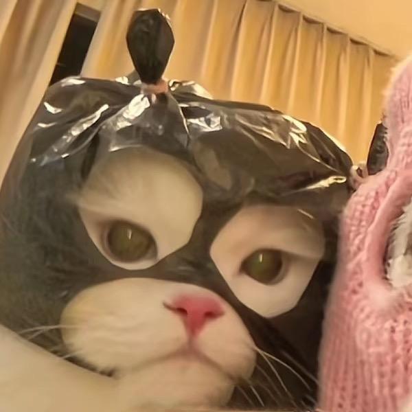 布兰妮·小甜熏