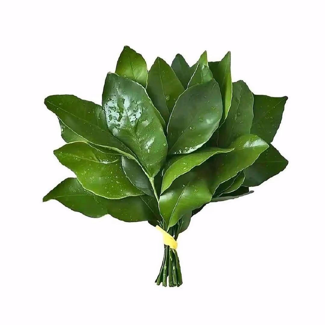 马漂亮