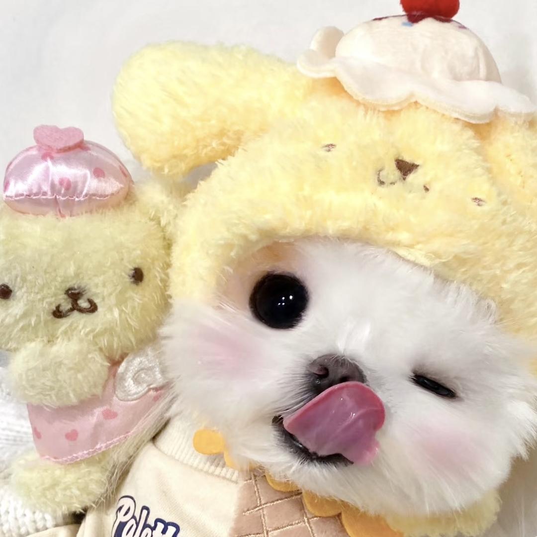 小甜饰