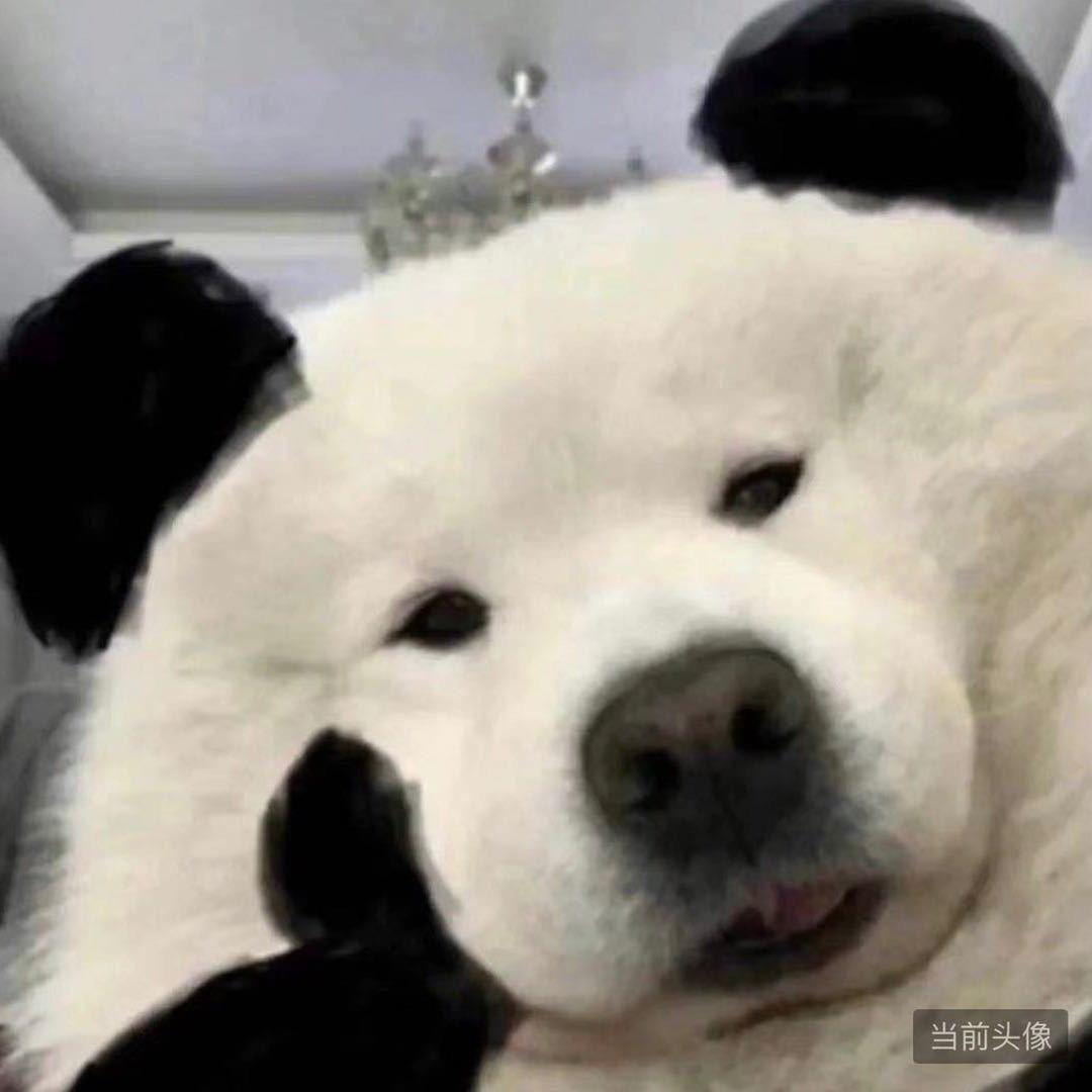 十八_Ryan