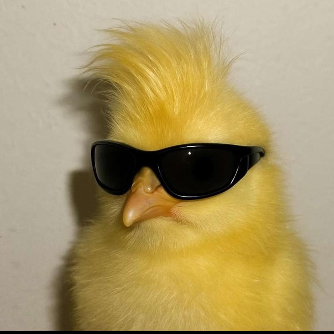 黑少. 帝者戰神𒉭（刀枪炮）