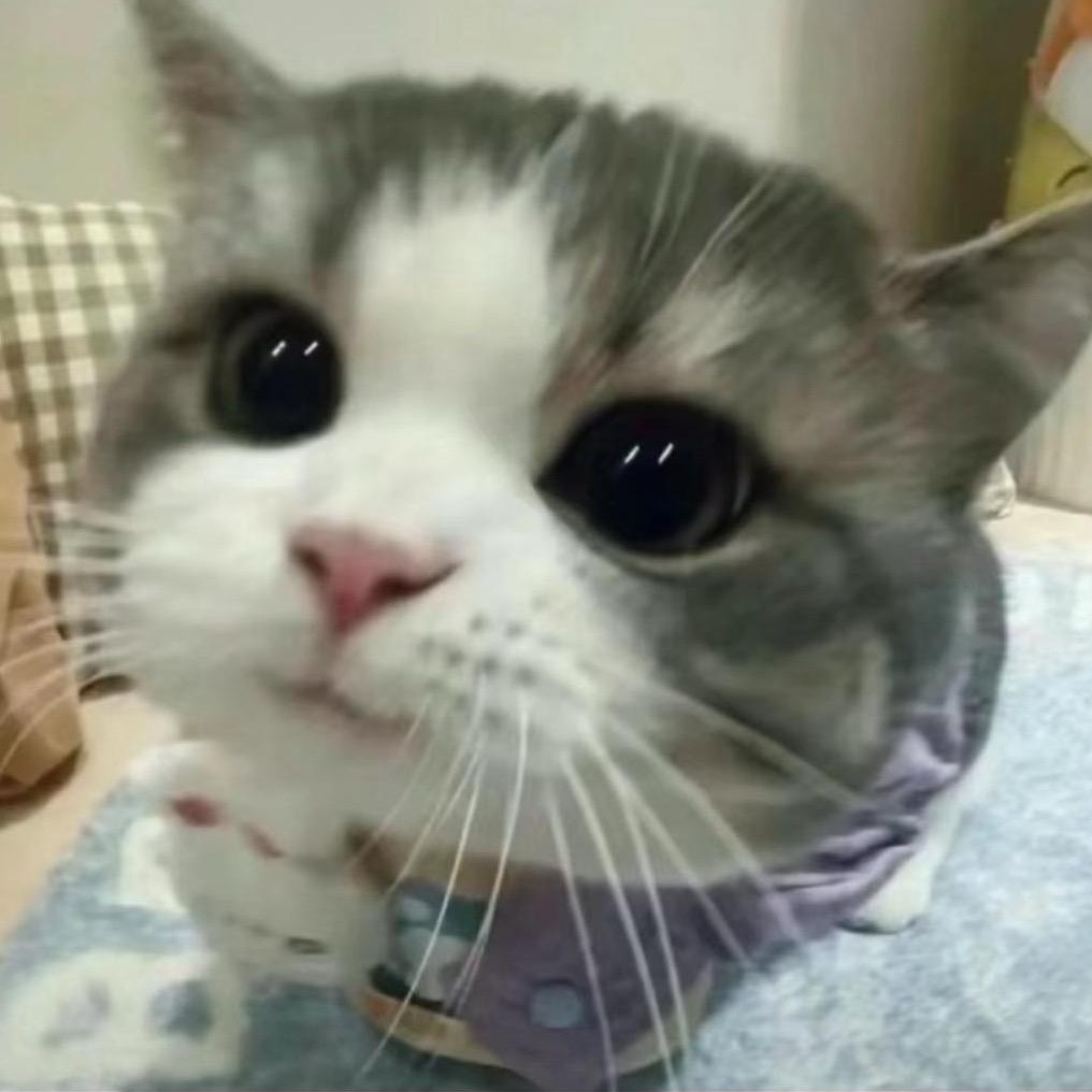 西里柚