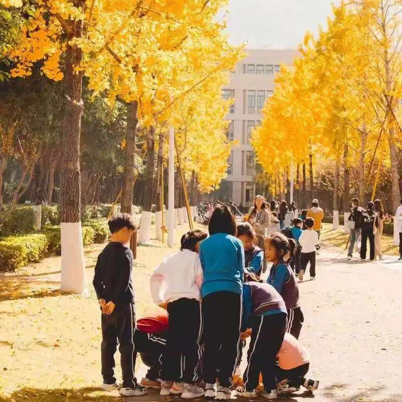 大龙聊升学