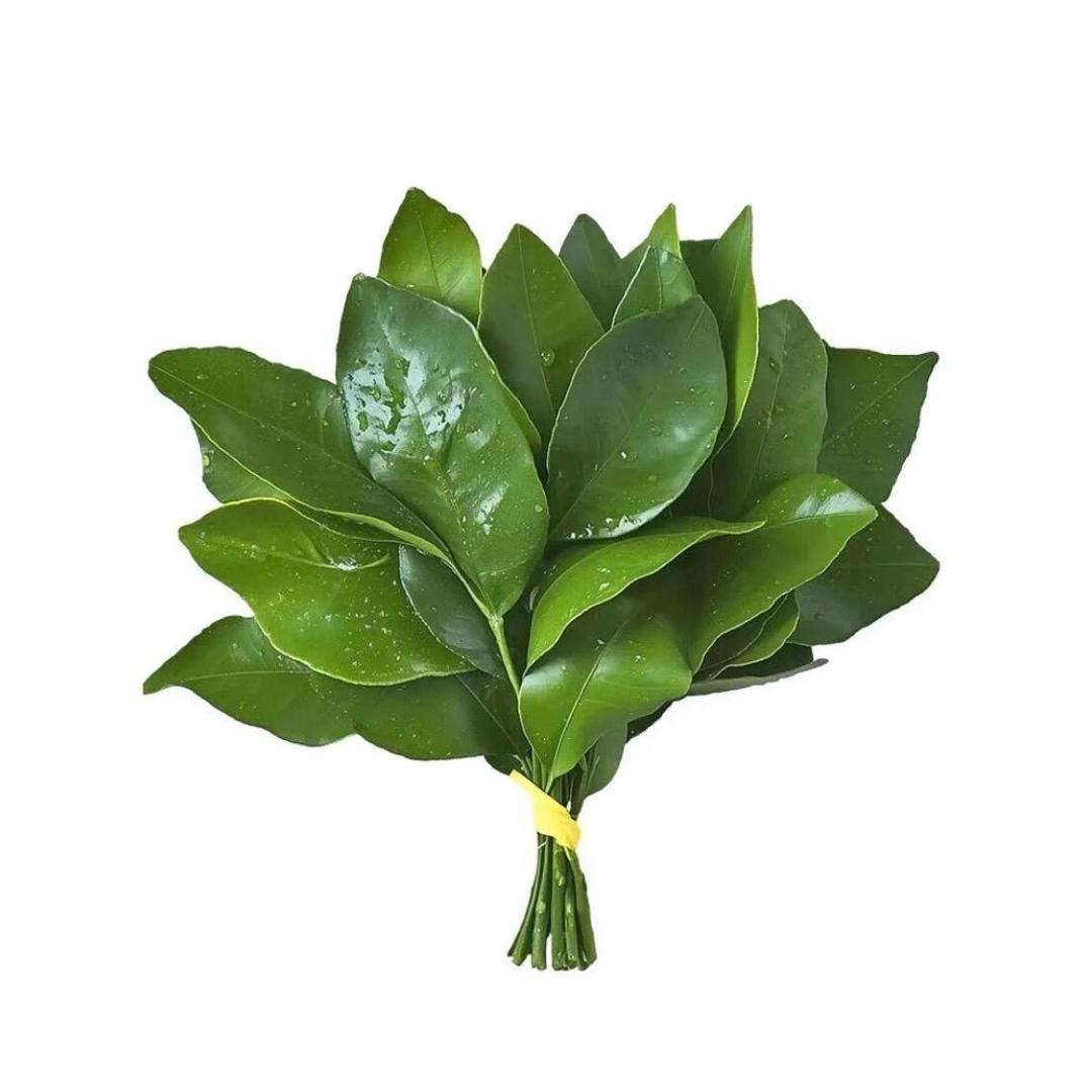 糯糯麻薯