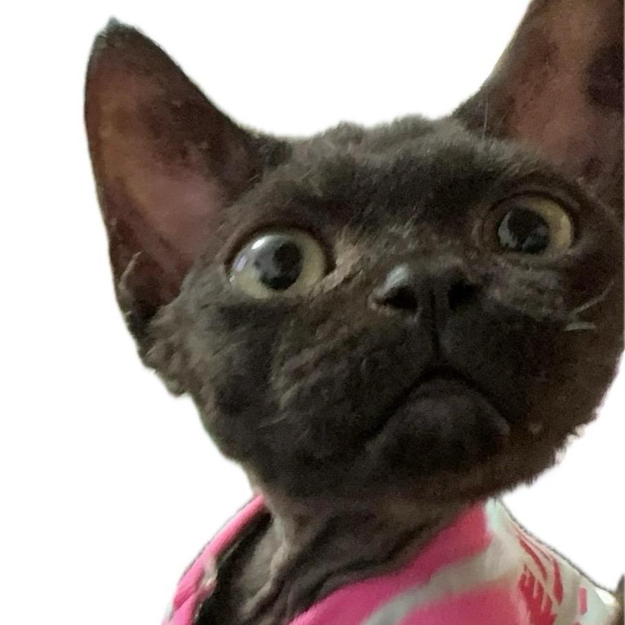 Hty