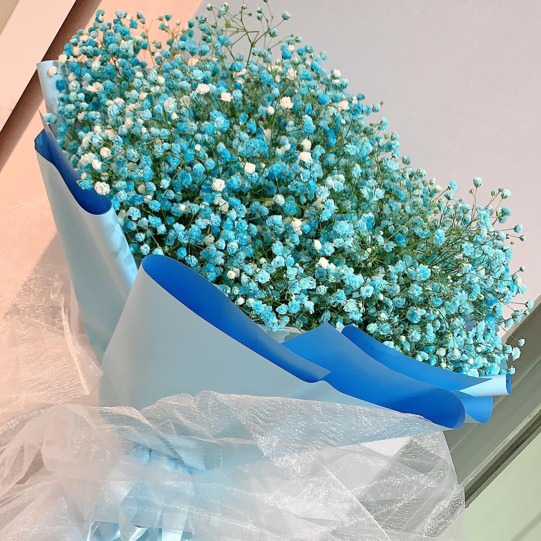 风花雪月