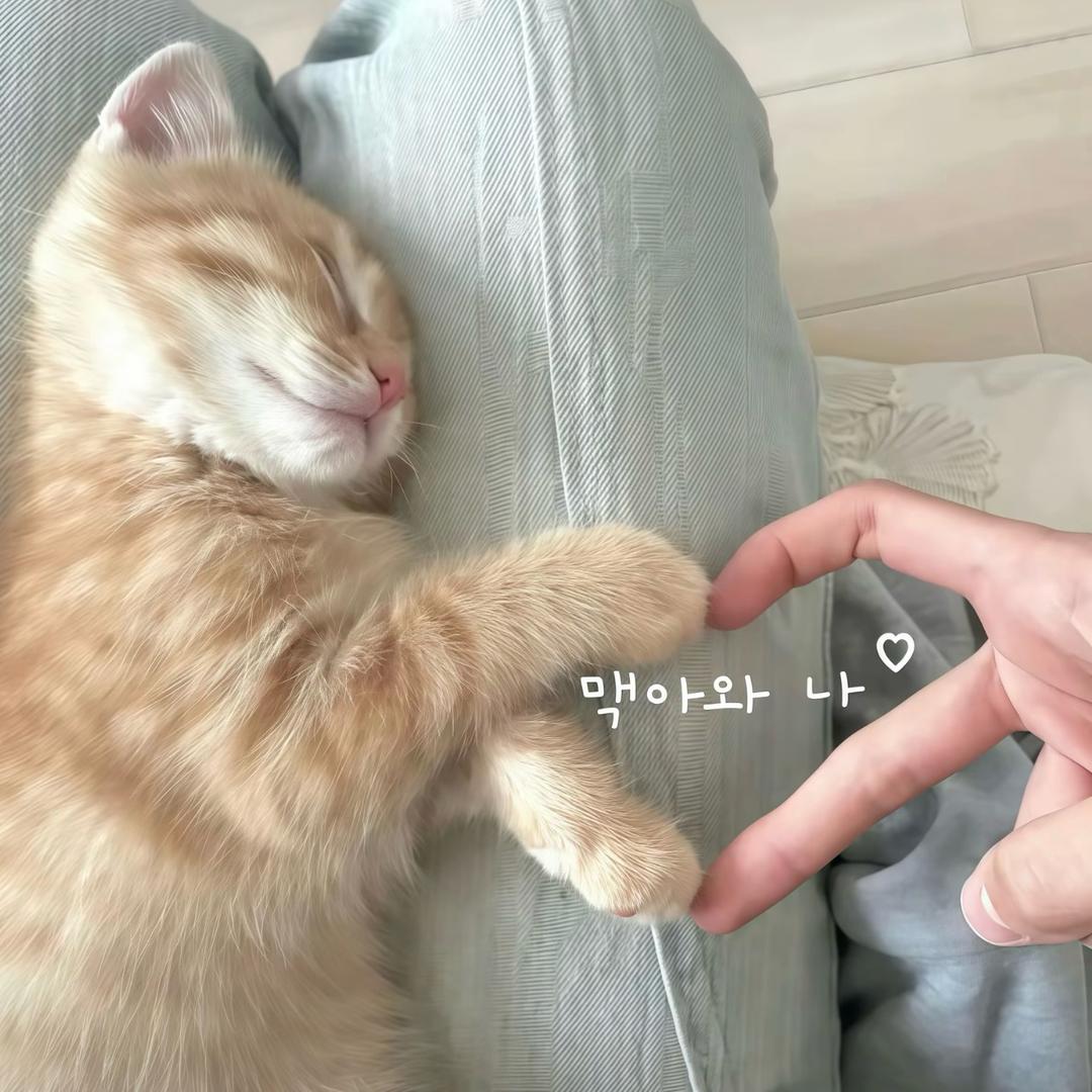 糖炒栗子.