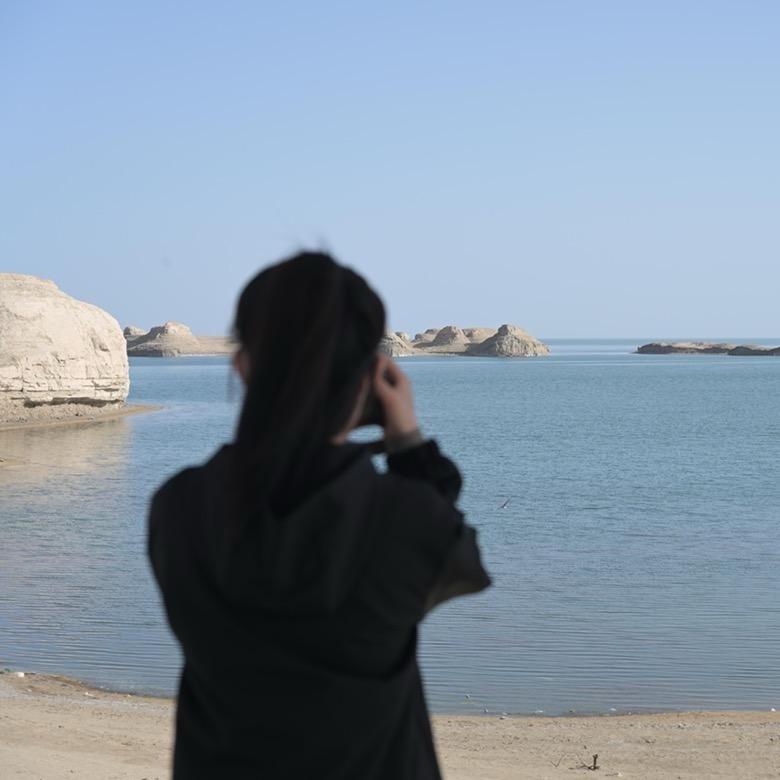 -流浪猫