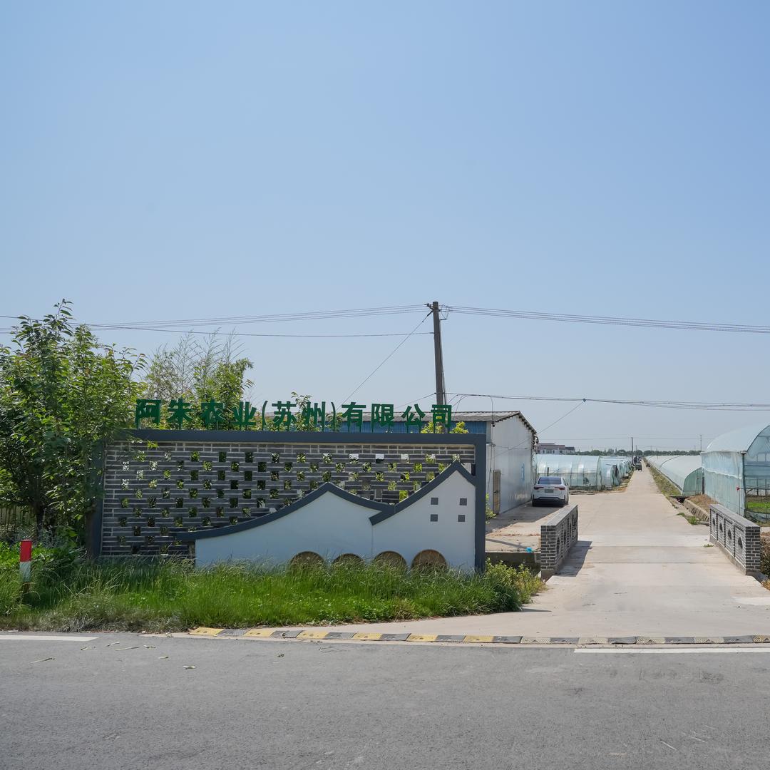 阿朱农业优质蔬果基地