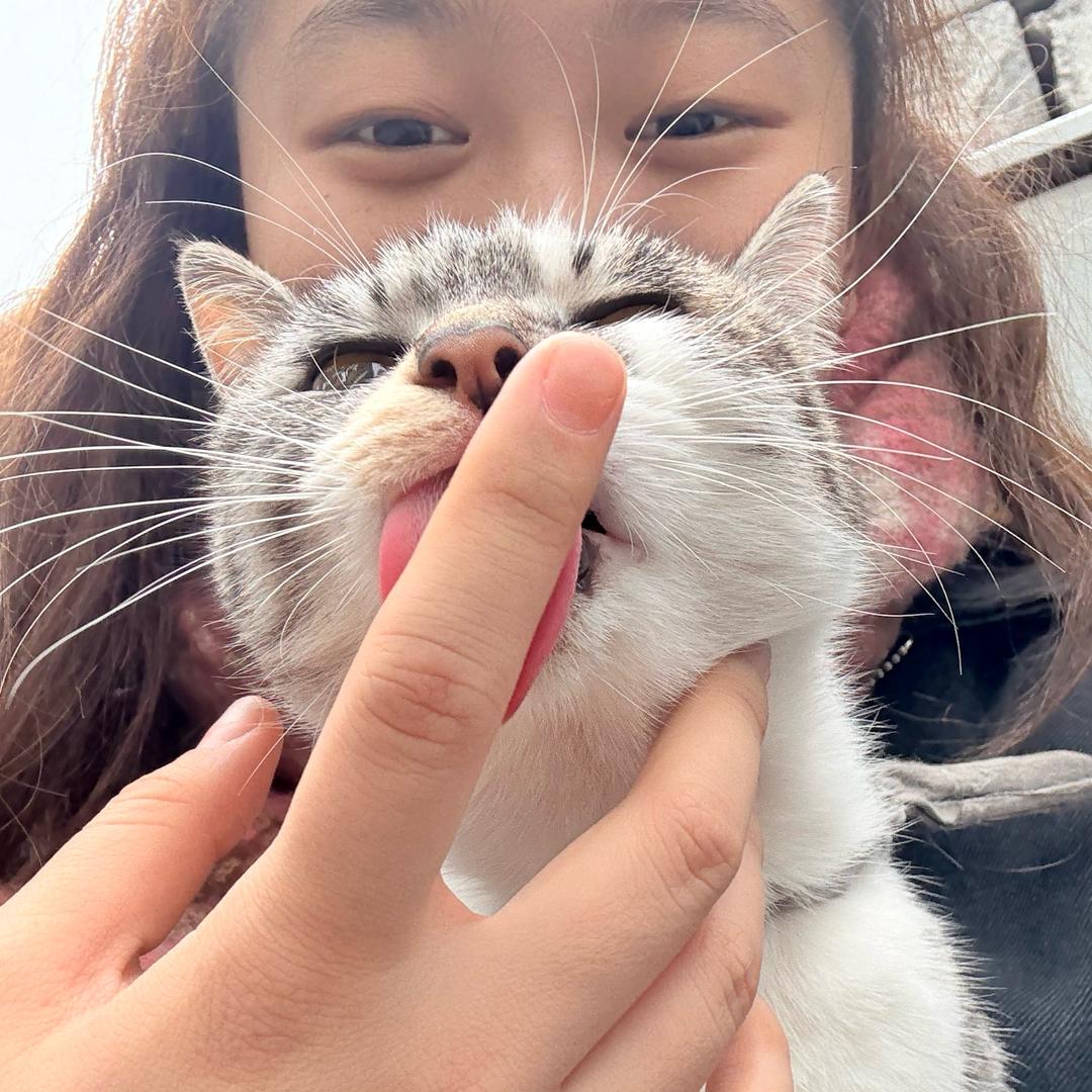 酷酷