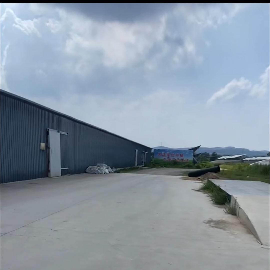 阿冰精选