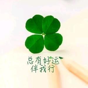 Zhubao天使