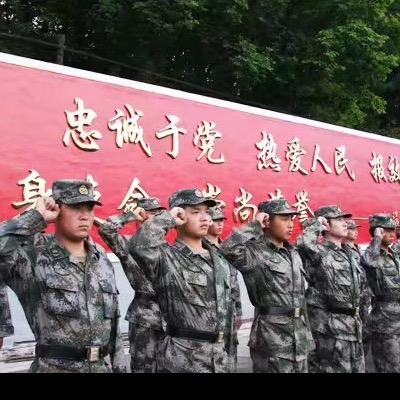 何事秋风悲画扇！