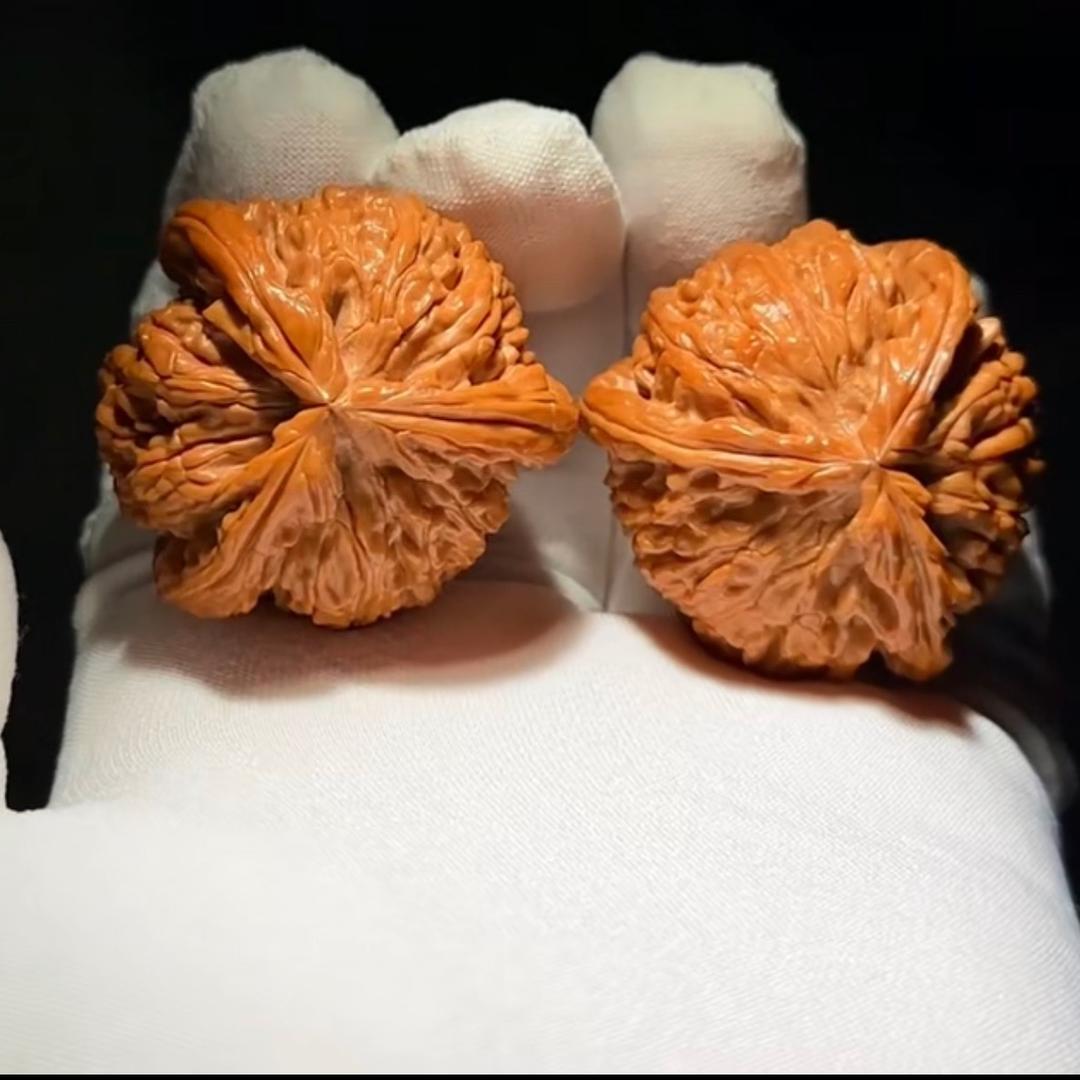 荆核精品小铺