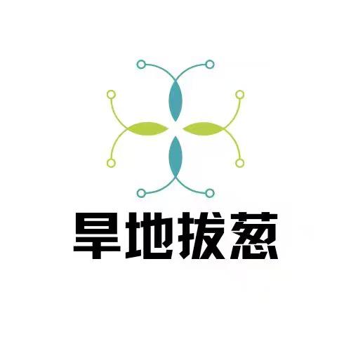 短视频带货（高级合伙人）